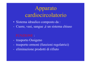 Apparato cardiocircolatorio - Corso di Laurea Triennale in Scienze