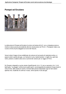 Agriturismo Campania. Pompei ed Ercolano cenni storia eruzione