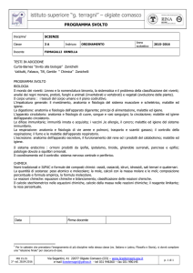 SCIENZE 3A - Liceo Terragni