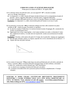 Testo e soluzione