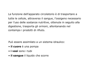 L`apparato cardiocircolatorio