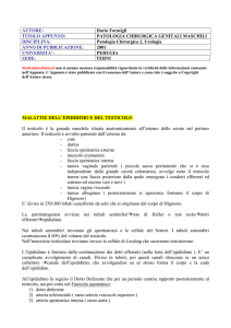 patologia chirurgica 2
