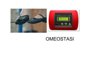 omeostasi - anna onofri