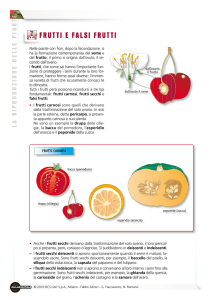 FRUTTI E FALSI FRUTTI