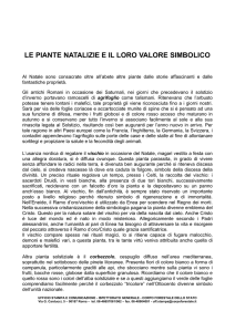 Le piante natalizie e il loro valore simbolico