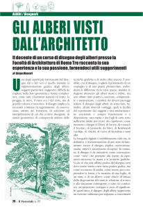 ALBERI/Disegnarli - Corpo Forestale dello Stato