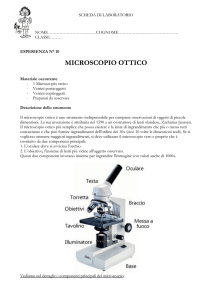 ESP_10Microscopio ottico