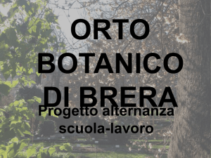 orto botanico di brera