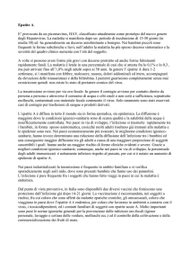 Epatite A. E` provocata da un picornavirus, HAV, classificato