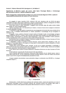 Ventura F-Motroni Gherardi SM et al