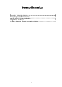 08-Termidinamica