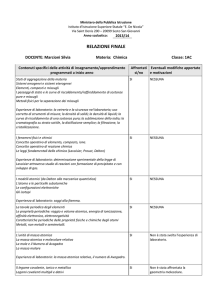 relazione finale