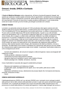 Ormoni: tiroide, DHEA e Cortisolo
