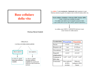 2) Base cellulare vita - Apollo 11 *DNA* Apollo