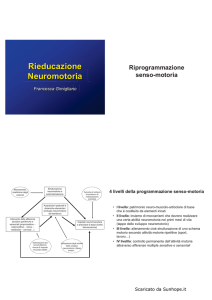Rieducazione Neuromotoria