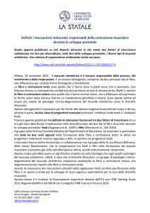 Comunicato stampa