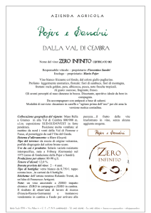 Zero infinito - Pojer e Sandri