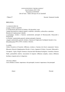 Classe 2a BIOLOGIA - Liceo Scientifico Michelangelo