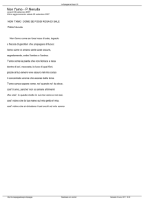 Non t`amo - P.Neruda - La Spiaggia dei Sogni