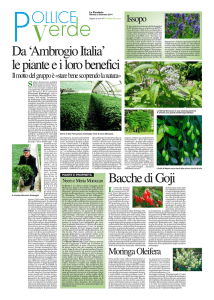 La Provincia, 02/12/2014 - Il Giardino della Salute