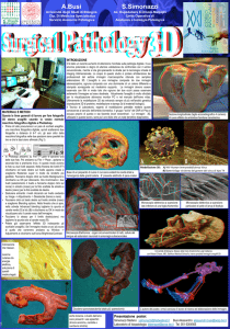 surgical pathology 3d - W W W . T E L E S A . ORG
