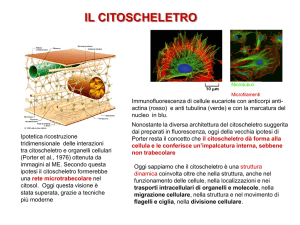 Lezione 15