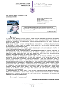 Messaggio Giornata Della Memoria 2016