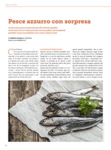 Pesce azzurro con sorpresa