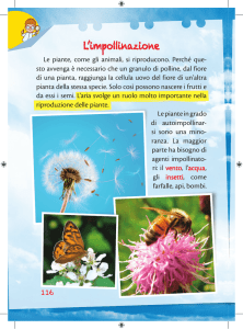 L`impollinazione - Avventurose Scienze