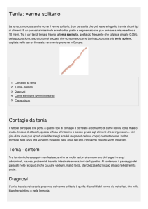 Tenia: verme solitario