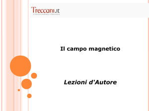 Il campo magnetico terrestre