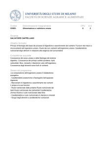 Programma di Alimentazione e nutrizione umana