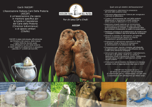brochure A.I.C.D.P.