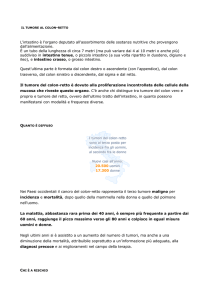 L`intestino è l`organo deputato all`assorbimento delle sostanze