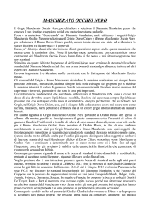 MASCHERATO OCCHIO NERO - Italia Zebravinken Club