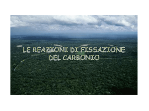 rigenerazione del RuBP