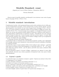Cenni sul modello standard come teoria di gauge