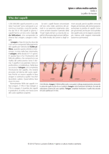 Vita dei capelli - Zanichelli online per la scuola