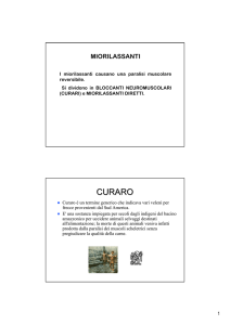 CURARO