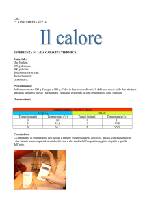L.M. CLASSE 1 MEDIA SEZ. A ESPERIENZA N° 1: LA CAPACITA