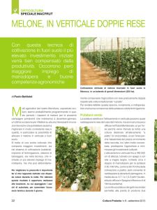 Melone, in verticale doppie rese