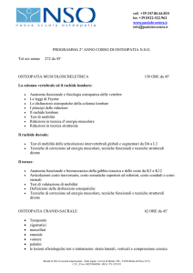 colonna - Nuova Scuola di Osteopatia Treviso
