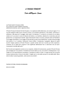 IL PICCOLO PRINCIPE