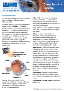 Come funzina l`occhio - Macular Disease Foundation Australia