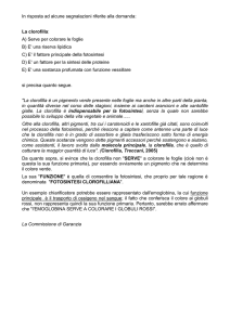 In risposta ad alcune segnalazioni riferite alla domanda: La clorofilla