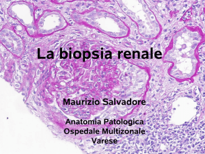 Diapositiva 1 - W W W . T E L E S A . ORG