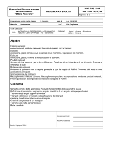 Programma svolto nella classe