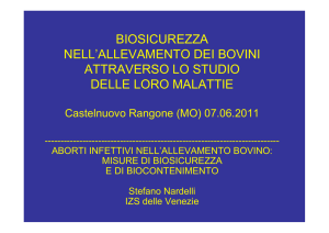 Stefano Nardelli