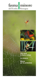Brochure Fauna minore - Museo Civico di Storia Naturale