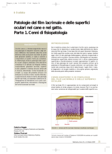 Patologie del film lacrimale e delle superfici oculari nel